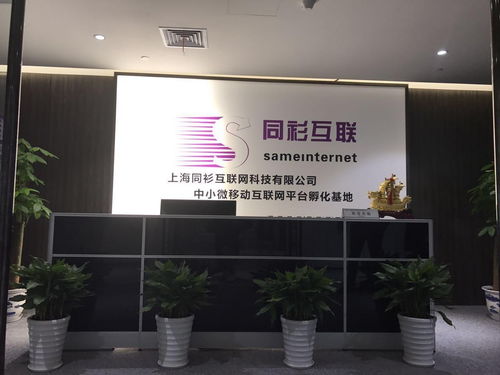 科技双城记 上海同衫与湛江网络的创新交响